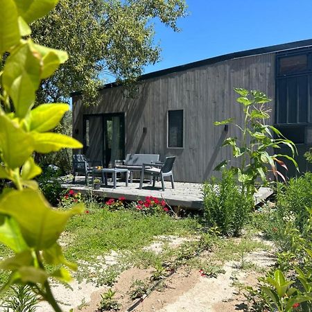 Tiny House Framed By Nature Near Sea In Karaburun Villa Izmir Exterior photo